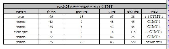 דוגמה לטבלת CTMT בדו"ח